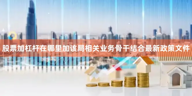股票加杠杆在哪里加该局相关业务骨干结合最新政策文件