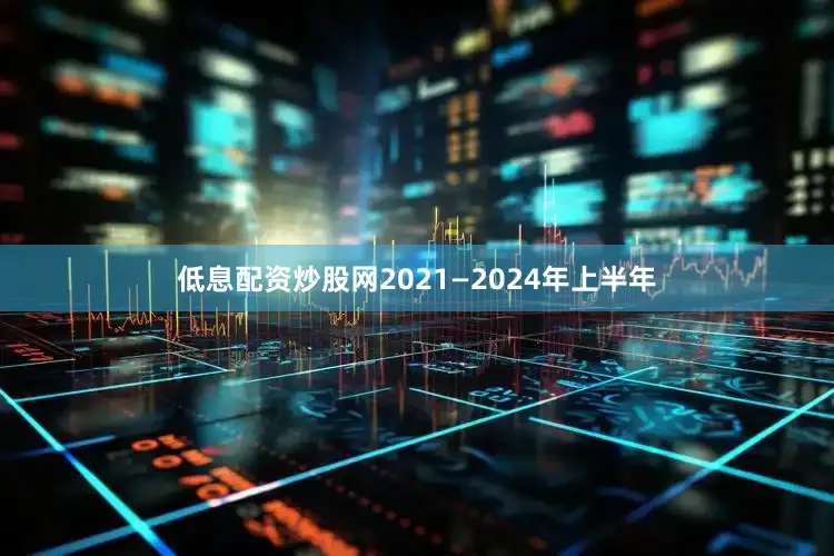 低息配资炒股网2021—2024年上半年